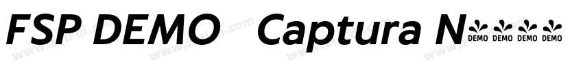 FSP DEMO   Captura N字体转换